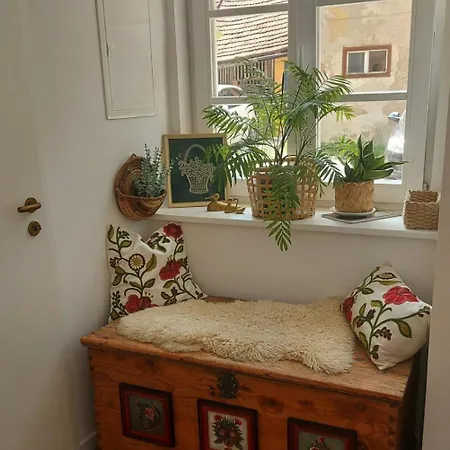 Urban Nest